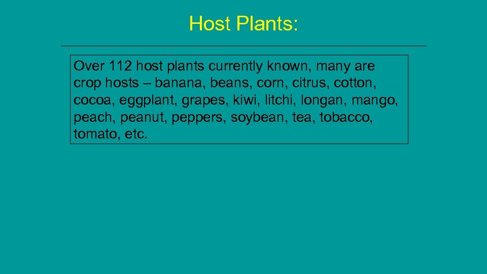 Host Plants: Over 112 host plants currently known, many are crop hosts – banana,