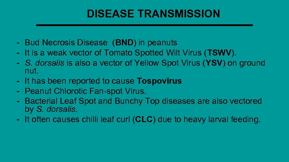 DISEASE TRANSMISSION - Bud Necrosis Disease (BND) in peanuts - It is a weak