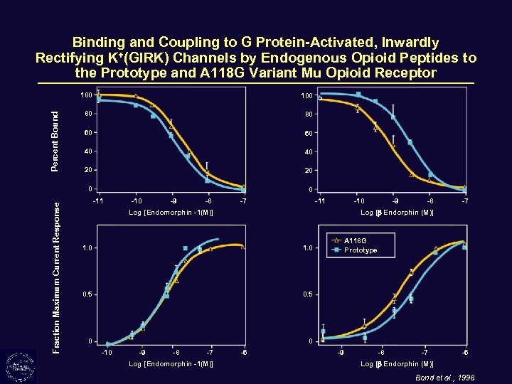 Binding and Coupling to G Protein-Activated, Inwardly Rectifying K+(GIRK) Channels by Endogenous Opioid Peptides