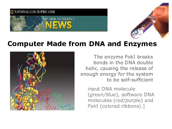 Computer Made from DNA and Enzymes The enzyme Fok. I breaks bonds in the