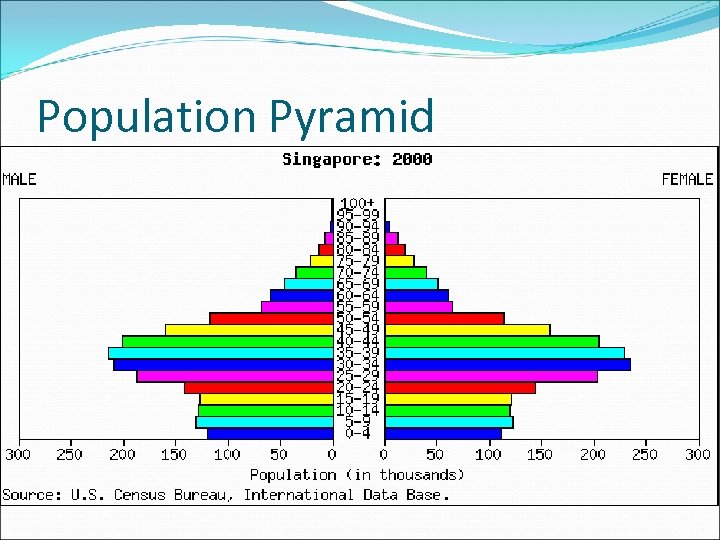 Population Pyramid 