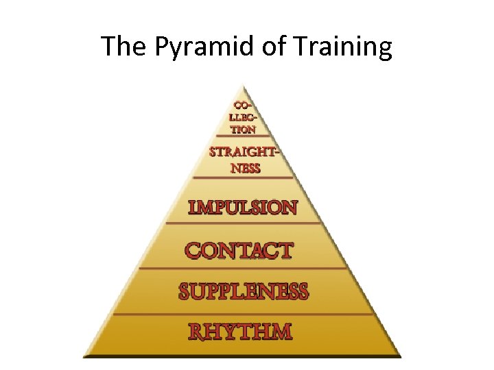 The Pyramid of Training 