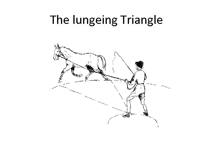 The lungeing Triangle 