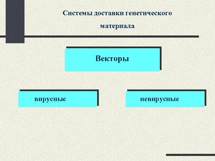 Системы доставки генетического материала Векторы вирусные невирусные 