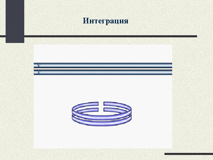 Интеграция 