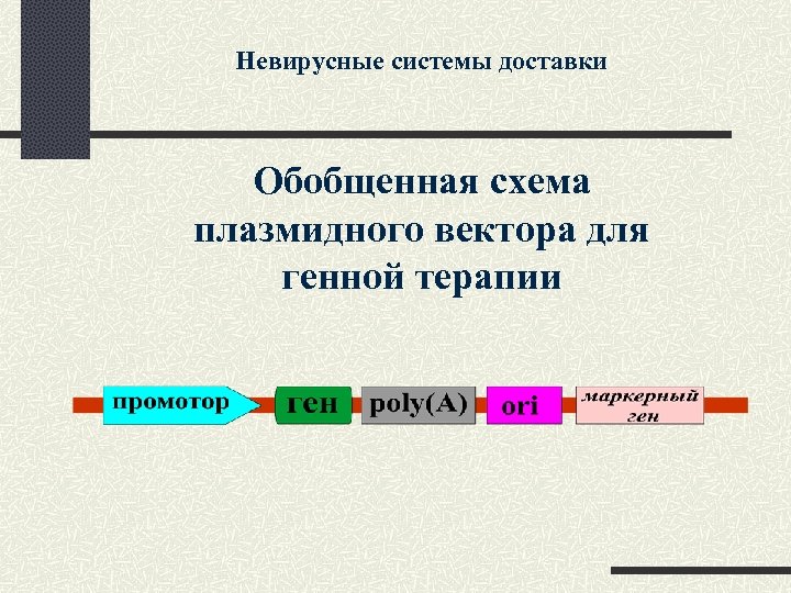 Невирусные системы доставки Обобщенная схема плазмидного вектора для генной терапии 
