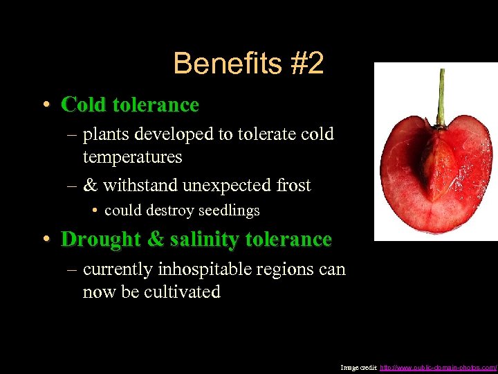 Benefits #2 • Cold tolerance – plants developed to tolerate cold temperatures – &