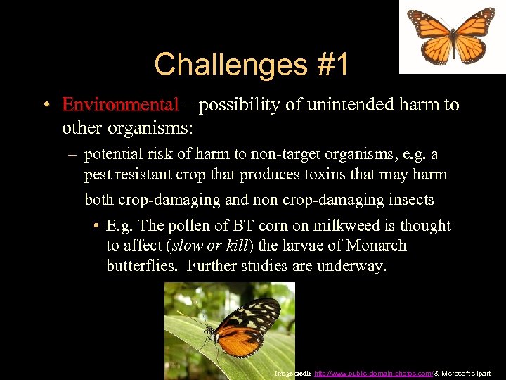 Challenges #1 • Environmental – possibility of unintended harm to Environmental other organisms: –