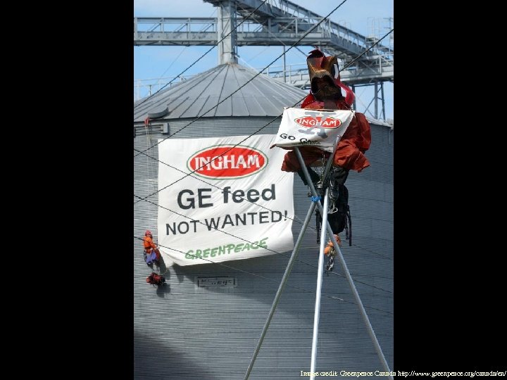 Image credit: Greenpeace Canada http: //www. greenpeace. org/canada/en/ 
