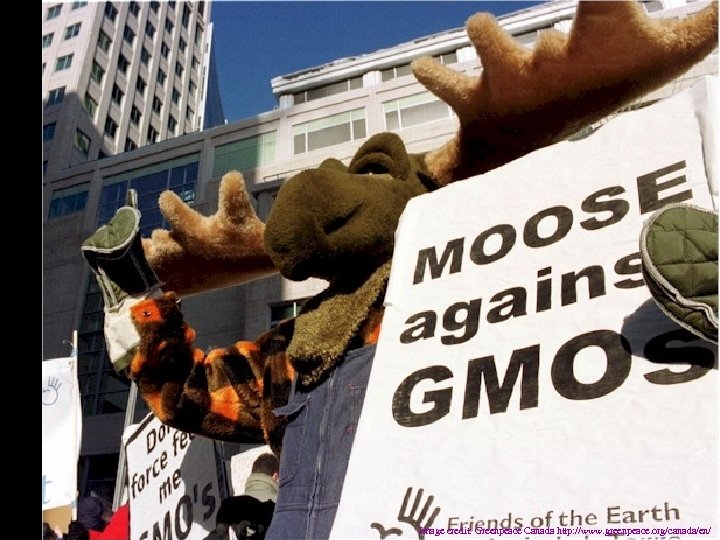 Image credit: Greenpeace Canada http: //www. greenpeace. org/canada/en/ 