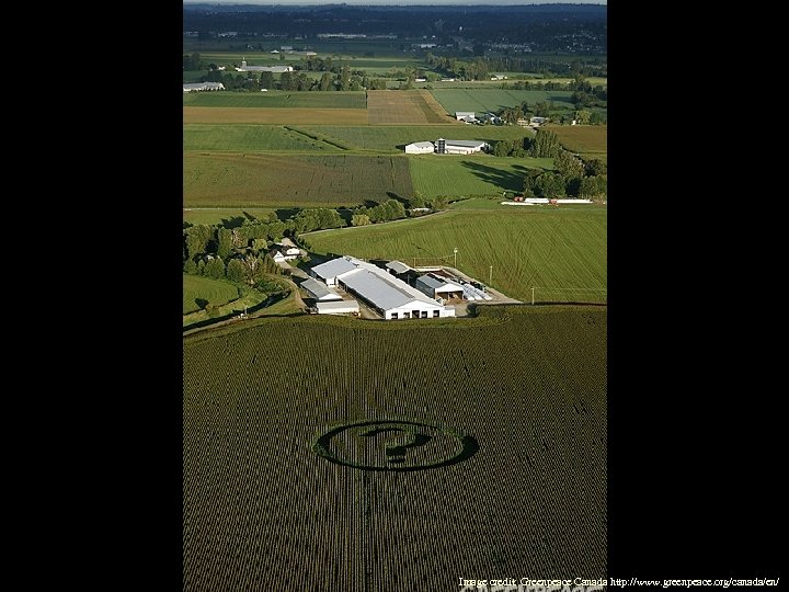 Image credit: Greenpeace Canada http: //www. greenpeace. org/canada/en/ 