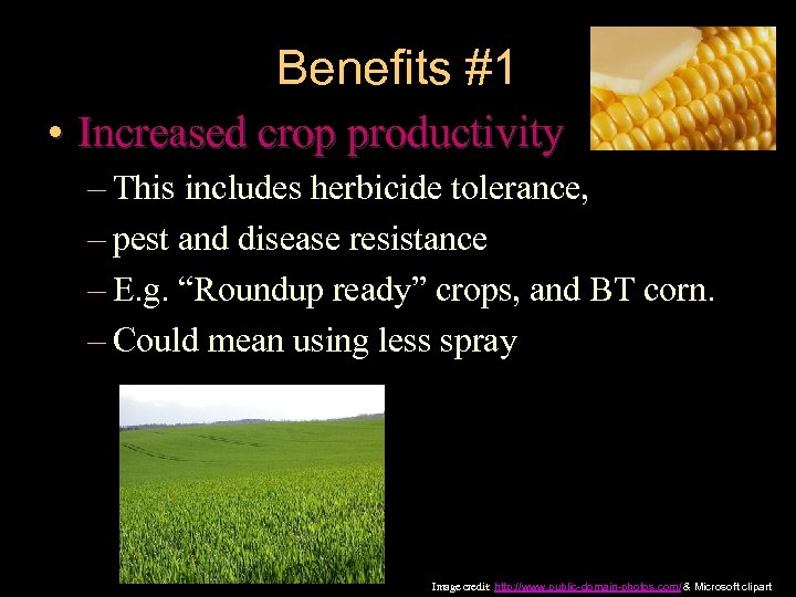 Benefits #1 • Increased crop productivity – This includes herbicide tolerance, – pest and