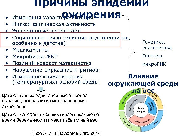 Причины эпидемии ожирения Изменения характера питания • • Низкая физическая активность • Эндокринные дисрапторы