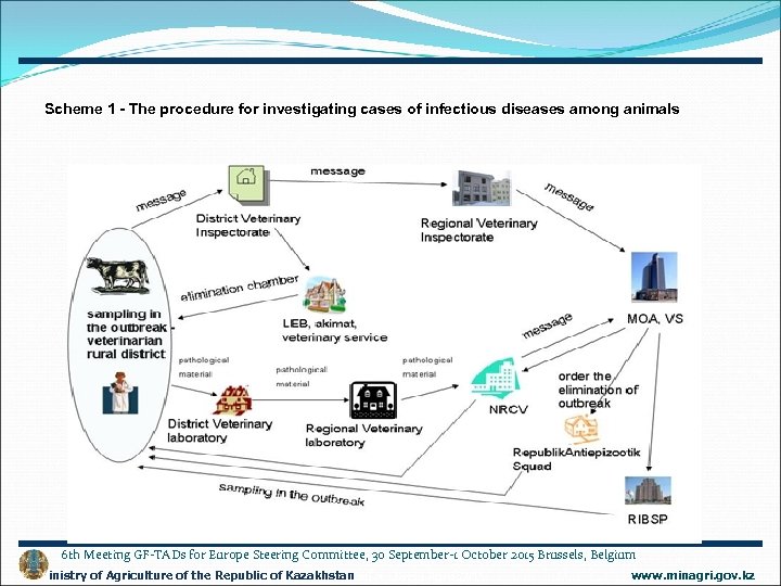 Scheme 1 - The procedure for investigating cases of infectious diseases among animals 6