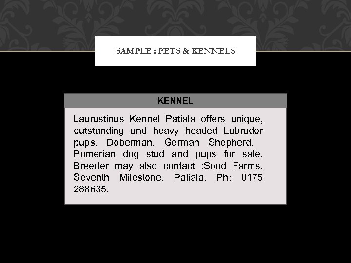 SAMPLE : PETS & KENNELS KENNEL Laurustinus Kennel Patiala offers unique, outstanding and heavy