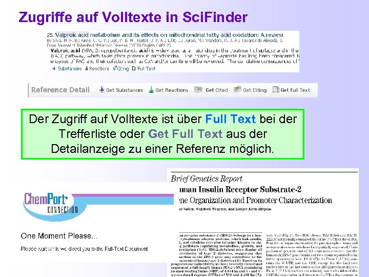 Zugriffe auf Volltexte in Sci. Finder Der Zugriff auf Volltexte ist über Full Text