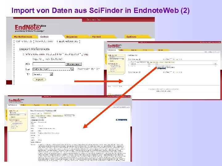 Import von Daten aus Sci. Finder in Endnote. Web (2) 