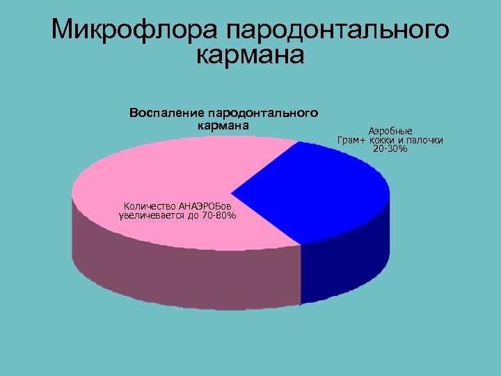 Микрофлора пародонтального кармана Воспаление пародонтального кармана Количество АНАЭРОБов увеличевается до 70 -80% Аэробные Грам+