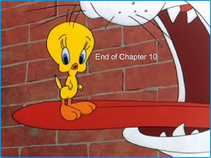 End of Chapter 10 End of Chapter 7 