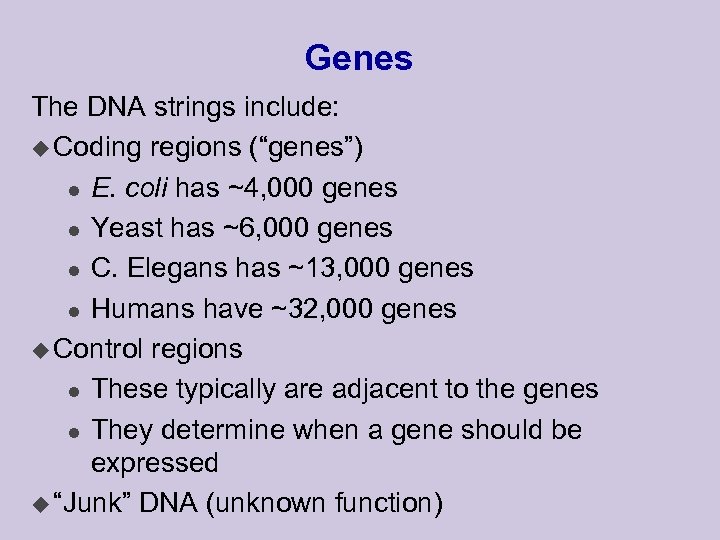 Genes The DNA strings include: u Coding regions (“genes”) l E. coli has ~4,