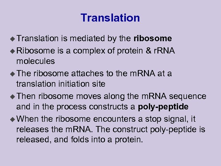 Translation u Translation is mediated by the ribosome u Ribosome is a complex of