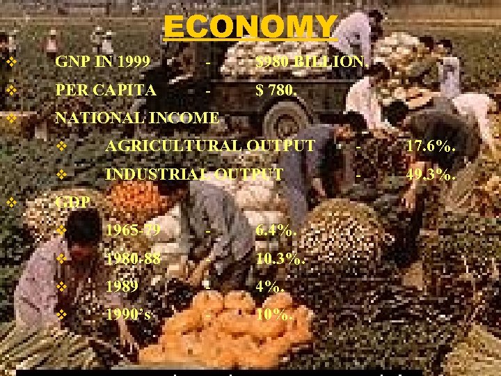ECONOMY v GNP IN 1999 - $980 BILLION. v PER CAPITA - $ 780.