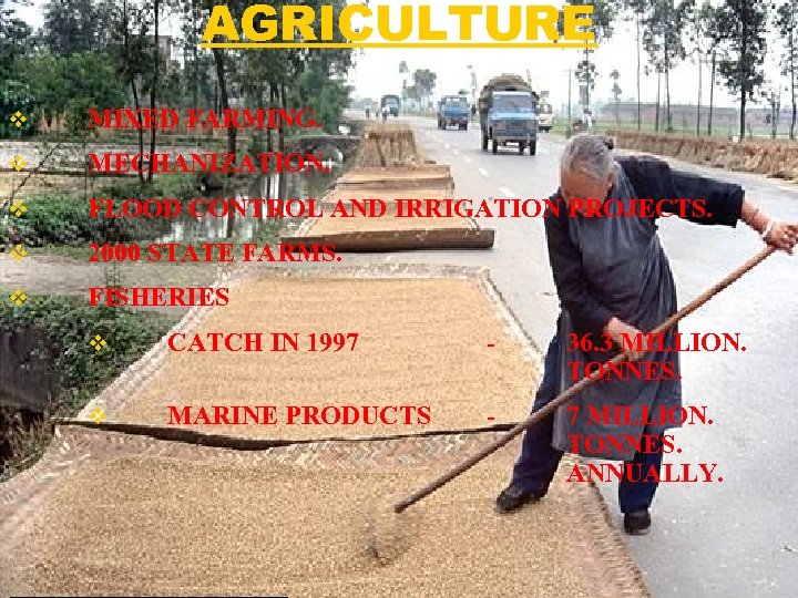 AGRICULTURE v MIXED FARMING. v MECHANIZATION. v FLOOD CONTROL AND IRRIGATION PROJECTS. v 2000