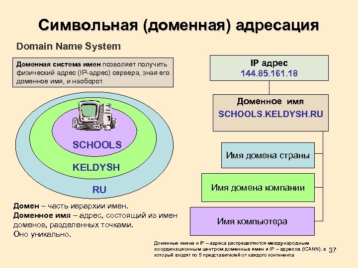 Символьная (доменная) адресация Domain Name System Доменная система имен позволяет получить физический адрес (IP-адрес)