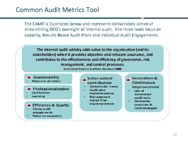 Common Audit Metrics Tool The CAMT is illustrated below and represents deliverables aimed at