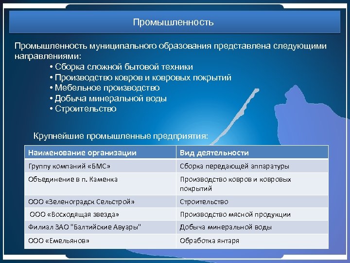 Промышленность муниципального образования представлена следующими направлениями: • Сборка сложной бытовой техники • Производство ковров