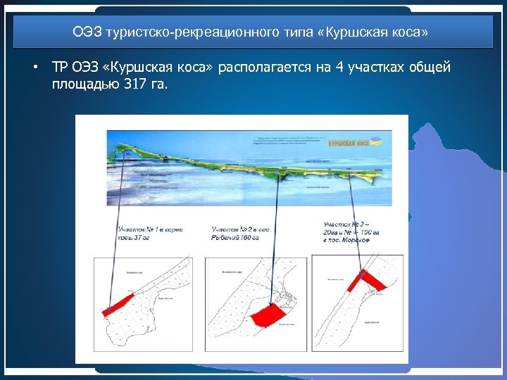 ОЭЗ туристско-рекреационного типа «Куршская коса» • ТР ОЭЗ «Куршская коса» располагается на 4 участках