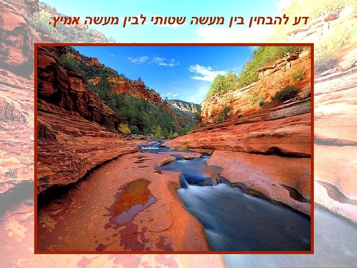  דע להבחין בין מעשה שטותי לבין מעשה אמיץ. 