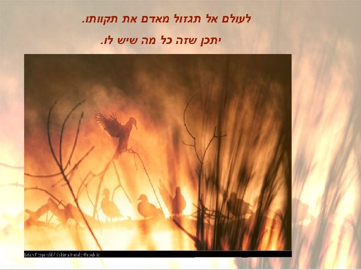  לעולם אל תגזול מאדם את תקוותו. יתכן שזה כל מה שיש לו. 