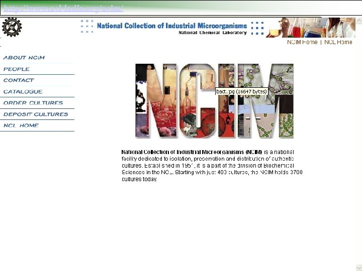 http: //www. ncl-india. org/ncim/ 