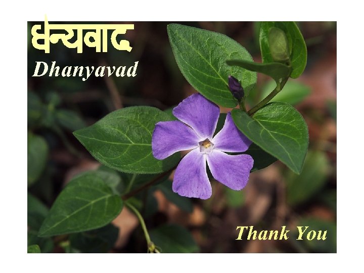 Dhanyavad Thank You 
