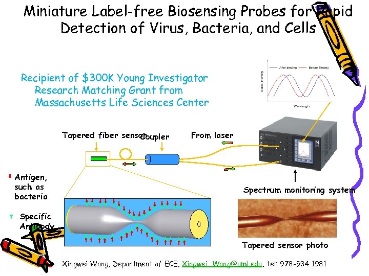 Miniature Label-free Biosensing Probes for Rapid Detection of Virus, Bacteria, and Cells Recipient of