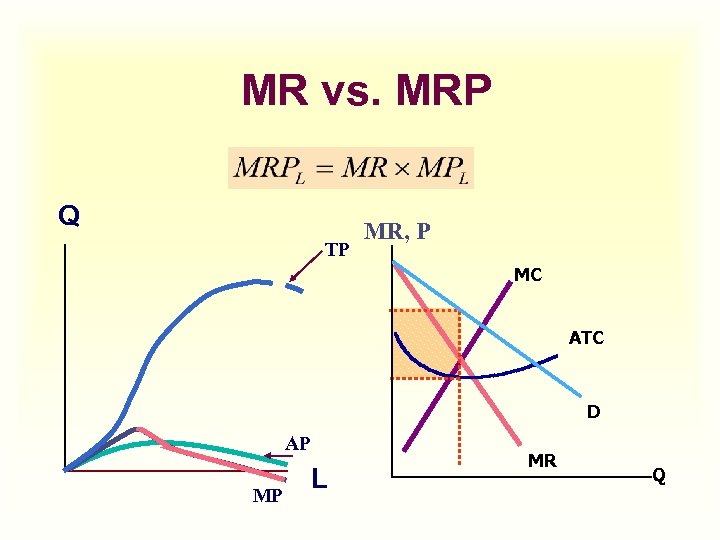 MR vs. MRP Q TP MR, P MC ATC D AP MP L MR