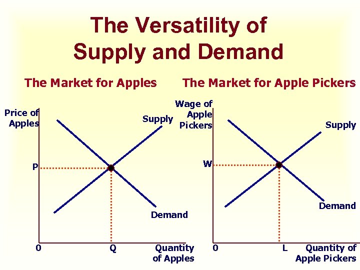 The Versatility of Supply and Demand The Market for Apples The Market for Apple