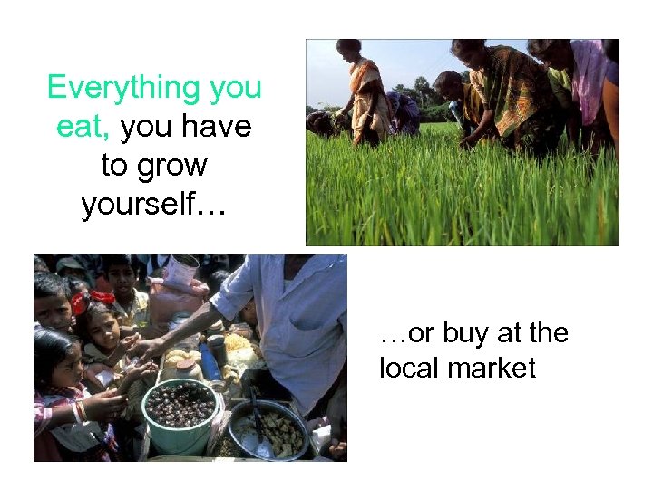 Everything you eat, you have to grow yourself… …or buy at the local market