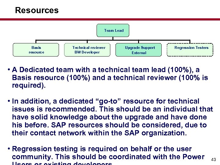 Resources Team Lead Basis resource Technical reviewer BW Developer Upgrade Support External Regression Testers