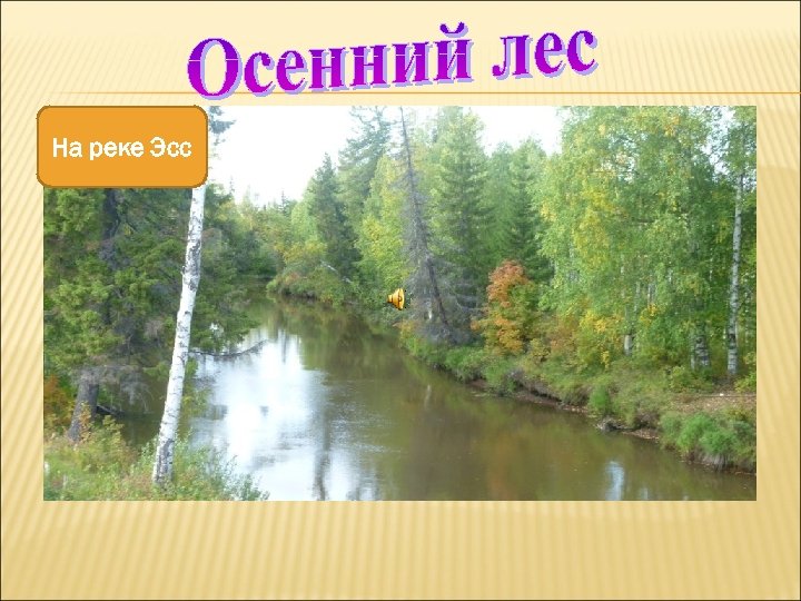 На реке Эсс 