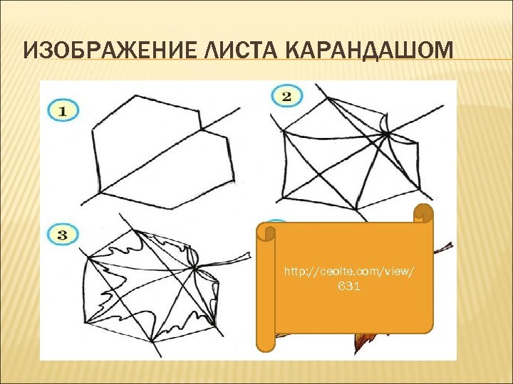 ИЗОБРАЖЕНИЕ ЛИСТА КАРАНДАШОМ http: //ceolte. com/view/ 631 