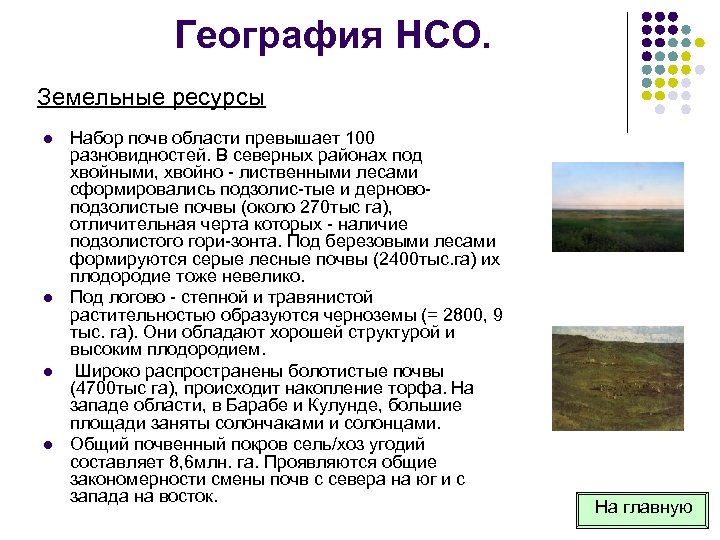 География НСО. Земельные ресурсы l l Набор почв области превышает 100 разновидностей. В северных