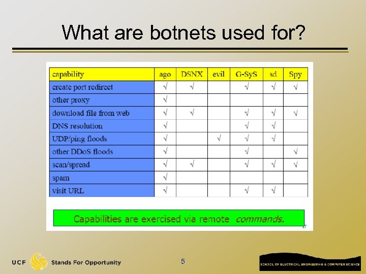 What are botnets used for? 5 