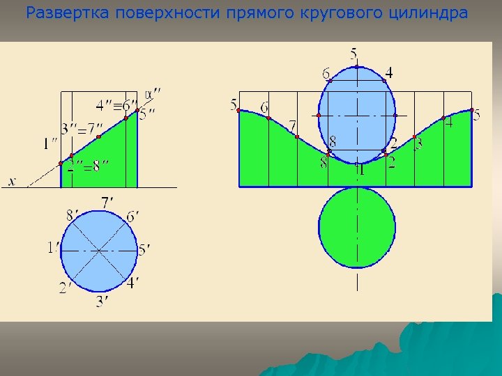 Развертка поверхности прямого кругового цилиндра 