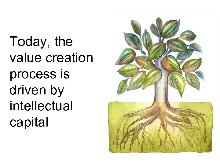 Today, the value creation process is driven by intellectual capital 
