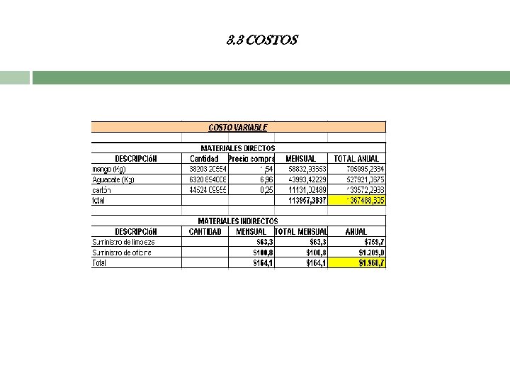 3. 3 COSTOS 