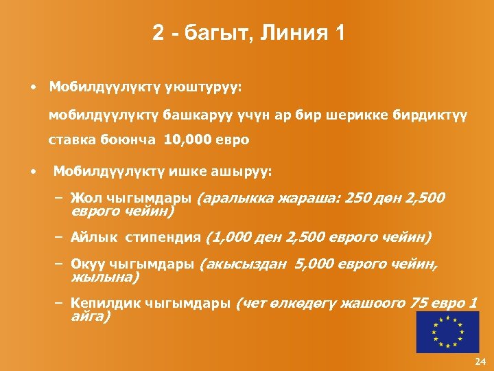 2 - багыт, Линия 1 • Мобилдүүлүктү уюштуруу: мобилдүүлүктү башкаруу үчүн ар бир шерикке