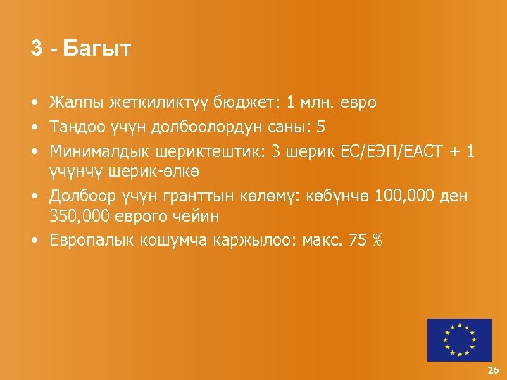 3 - Багыт • Жалпы жеткиликтүү бюджет: 1 млн. евро • Тандоо үчүн долбоолордун