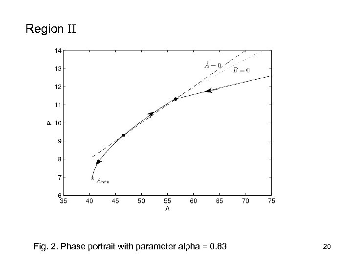 Region II Fig. 2. Phase portrait with parameter alpha = 0. 83 20 